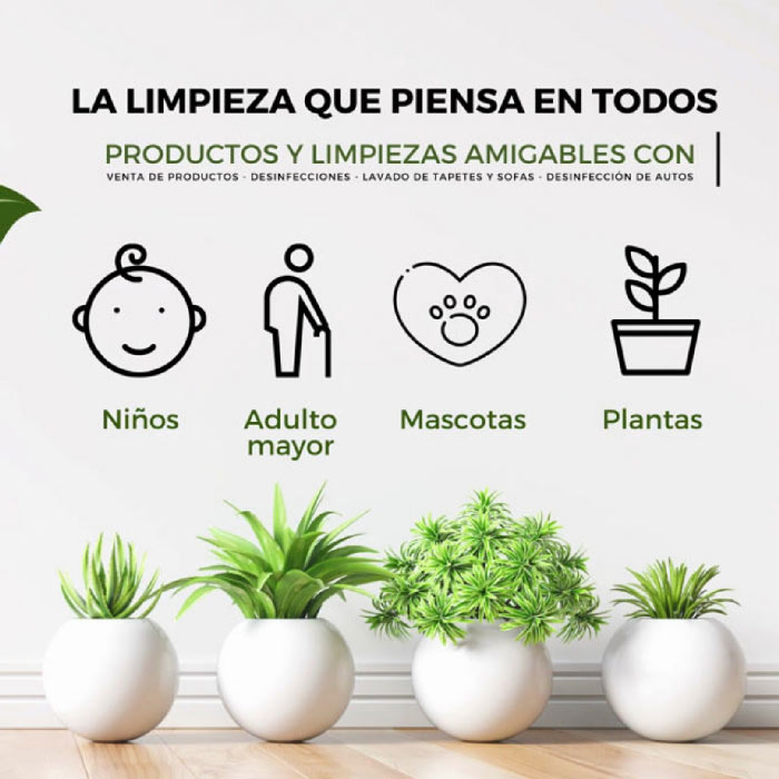 Servicio de lavado de alfombras persas en Bogotá