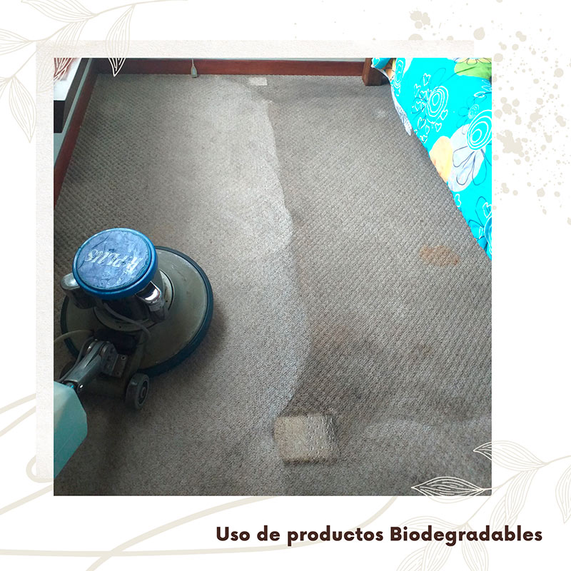 Lavado profesional de alfombra de alto tráfico Bogotá