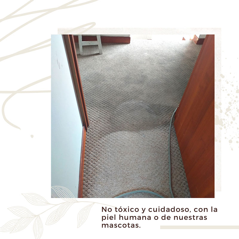 Limpieza de tapete residencial con inyección Bogotá