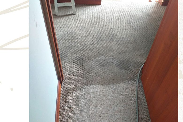 Alfombra de corredor después de la limpieza en Cajicá