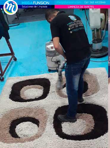 aseo y limpieza de tapetes en La Calera