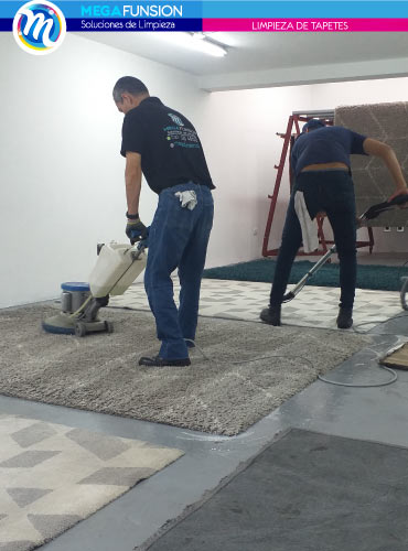 Lavado y limpieza de tapetes en La Calera