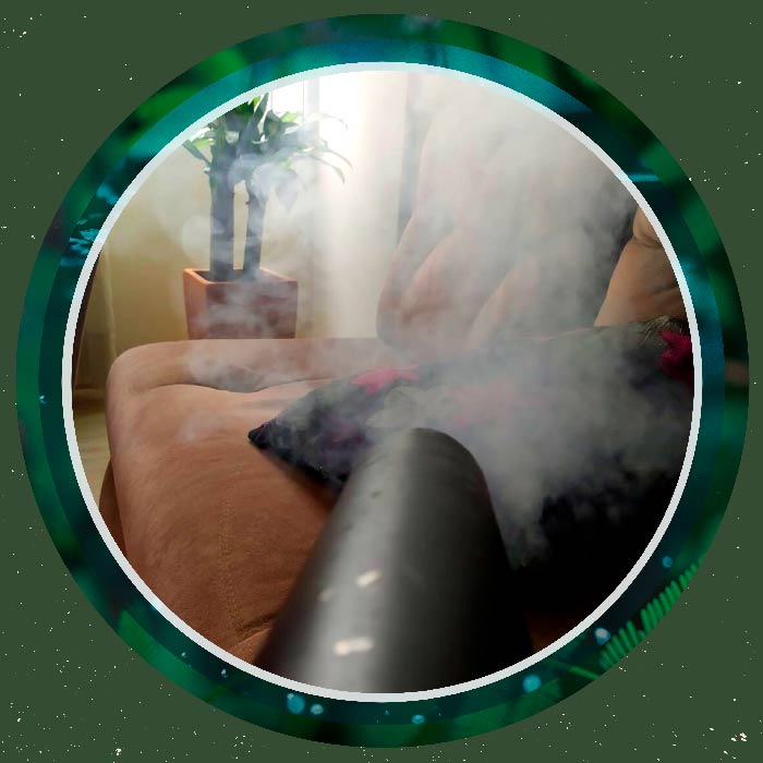 desinfección de virus y bacterias