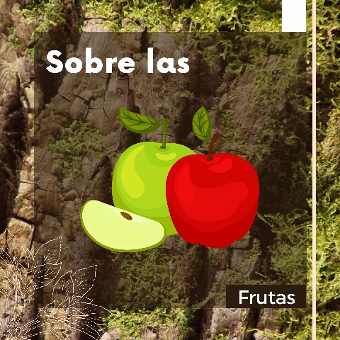 Desinfección con agua electrolizada en Bogotá