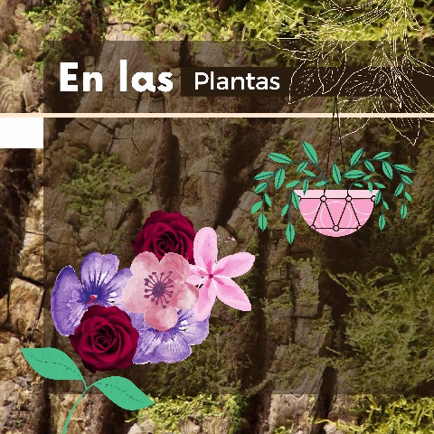 Desinfección con agua electrolizada en Bogotá